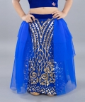 Ghaghra Choli With Gold Embroidery