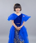 Ghaghra Choli With Gold Embroidery