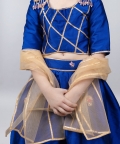 Royal Blue Ghaghra Choli With Gold