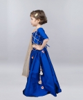 Royal Blue Ghaghra Choli With Gold