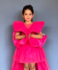 Pink Flamingo Red Carpet Gown
