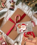 Personalised Christmas Gift Tags - Hello Santa - Set of 10