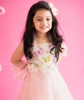 Pink Organza Lehenga+ Butterfly Top