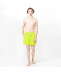 Palm Trees Lime Green Magic Printed Shorts