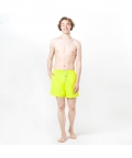 Palm Trees Lime Green Magic Printed Shorts