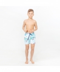 Penguins Playtime Fun In The Sun Shorts