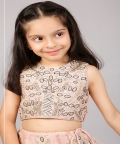 Rose Pink Embroidered Top With Lehenga And Dupatta