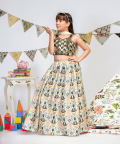 Embroidered Lehenga set