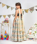 Embroidered Lehenga set