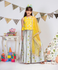 Embroidered Lehenga Set