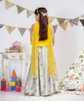 Embroidered Lehenga Set