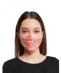 Adult Coral And Aqua Chidiya Print Reversible 3 Ply Face Mask With Pouch - Adult
