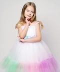 Unicorn Multicolor Flair Dress