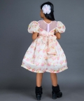Rose Printed Organza Frock