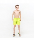Palm Trees Lime Green Magic Printed Shorts