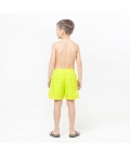 Palm Trees Lime Green Magic Printed Shorts