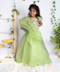 Enchanted Multicolor Ghagra Set