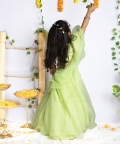 Enchanted Multicolor Ghagra Set