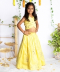 Padma Gotta Patti Ghagra Set