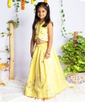 Padma Gotta Patti Ghagra Set