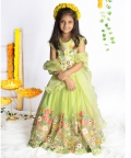 Enchnated Embroidered Ghagra Set