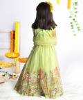 Enchnated Embroidered Ghagra Set