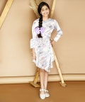 Round Neck Full Sleeve Printed Knee Length Dress