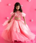 Pink Fan Lehenga Set