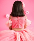 Pink Fan Lehenga Set