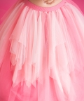 Pink Fan Lehenga Set