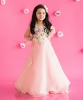 Pink Organza Lehenga+ Butterfly Top