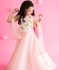 Pink Organza Lehenga+ Butterfly Top