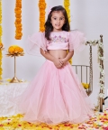 Rosette Elephant Lehanga Set