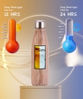 HydraCurve Cola Bottle 500ML