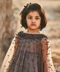 Hand Embroidered Cape And Silk Organza Dress