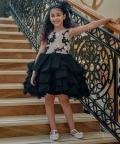 Hand Embroidered Bodice With Hand Pleated Skirt