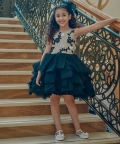 Hand Embroidered Bodice With Hand Pleated Skirt