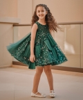 Hand Embroidered Green Tulle Dress