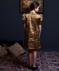 Collar Detail Princess Seam V Dress