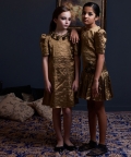 Collar Detail Princess Seam V Dress