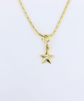 Star Charm