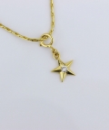 Star Charm