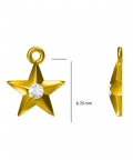 Star Charm