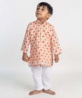 Bird Jaal Printed Kurta 