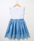 Pretty Broderie Skirt & Frill Sleeve Jersey Mix Media Dress