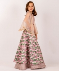 Mocha Brown Lehenga Kids
