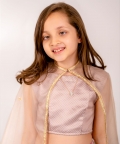 Mocha Brown Lehenga Kids