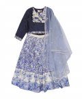 Navy Blue Embroidered Top Along With Digital Print Skirt