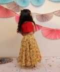 Sunshine Skirt With Crop Top