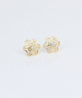 Web Design Diamond Earrings